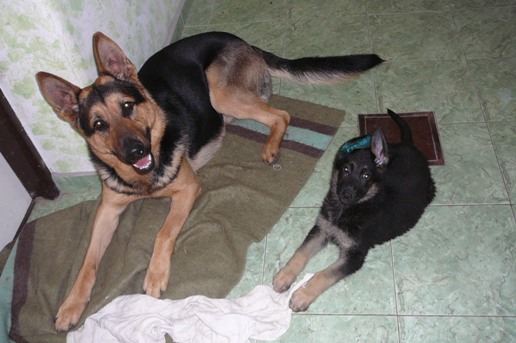 Aronko and Lilly